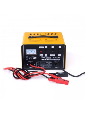 AUTO LĀDĒJS 30A 90-250Ah