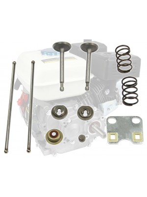 Motora Galvas Remonta Komplekts 6.5 Zs (M798969)