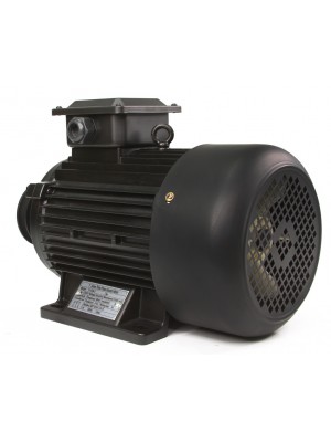 TRĪSFĀZU MOTORS Y132M-2 10 ZS 2940 apgr./min (M8803602)