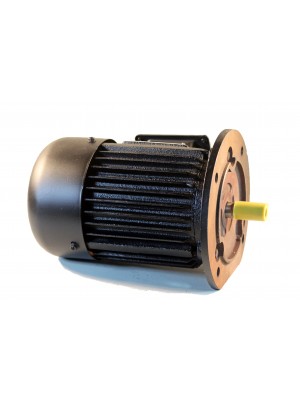 Triju fāzu asinhronais elektriskais motors ar 0,55 kW (Y-801-4F) Triju fāzu asinhronais elektriskais motors ar 0,55 kW (Y-801-4F)